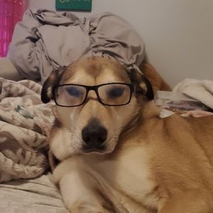 Meet your Posher, Ashton